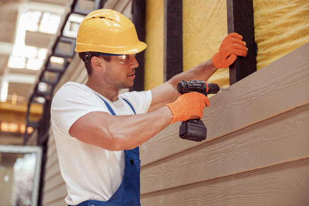 Best Siding Painting and Refinishing  in Villisca, IA